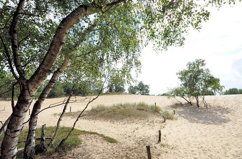3245_5633 Naherholungsgebiete Hamburgs - Bilder von der Sanddüne in der Boberger Niederung. | Naturschutzgebiet Boberger Niederung